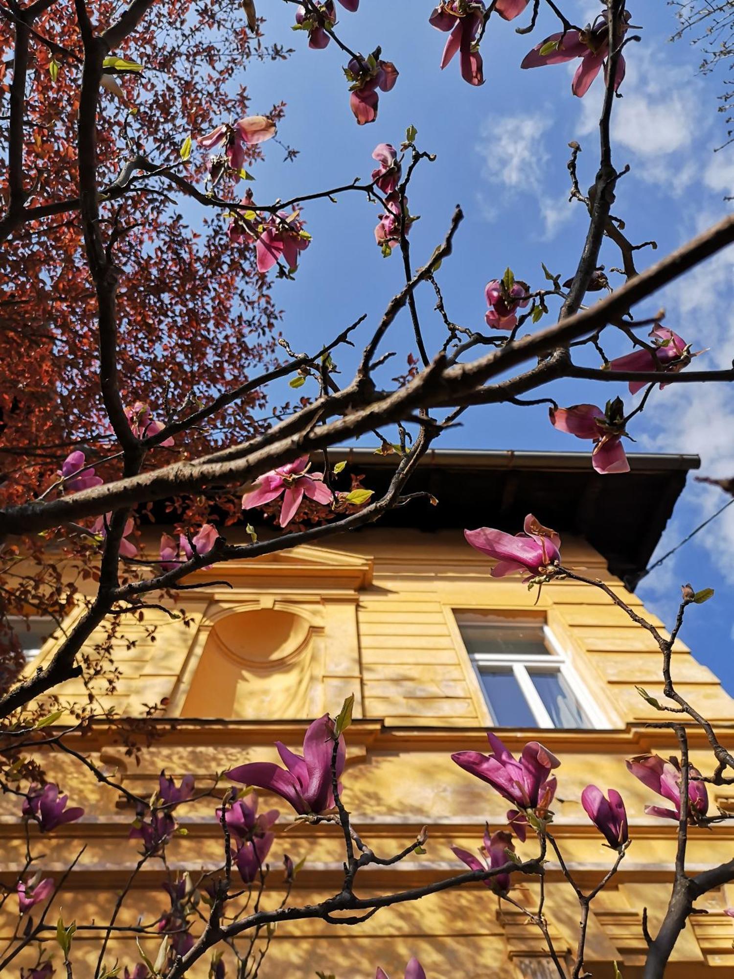 The Villa, Ljubljana City Center Eksteriør bilde